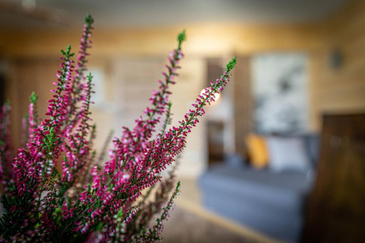 Good Morning Giewont & Jacuzzi Apartment Koscielisko Ngoại thất bức ảnh